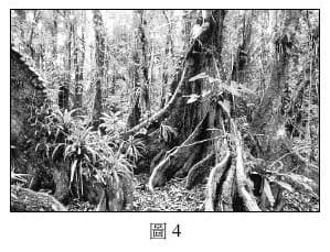 題目附圖
